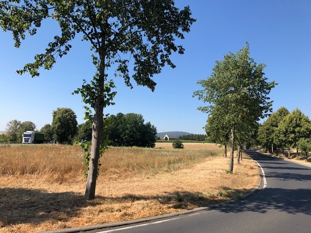 Das Bild zeigt im Vordergrund eine asphaltierte Straße, die von einer Baumreihe gesäumt wird. Die Bäume spenden Schatten auf die Straße. Hinter der Baumreihe erstreckt sich ein Feld mit trockenem, gelbem Gras. Im Hintergrund sind weitere Bäume und Sträucher zu sehen, die eine grüne Linie bilden. In der Ferne ist ein kleines, weißes Gebäude erkennbar. Am linken Bildrand ist ein Lastwagen auf einer Straße zu sehen. Der blaue Himmel ohne Wolken verstärkt den Eindruck eines sonnigen und warmen Tages.