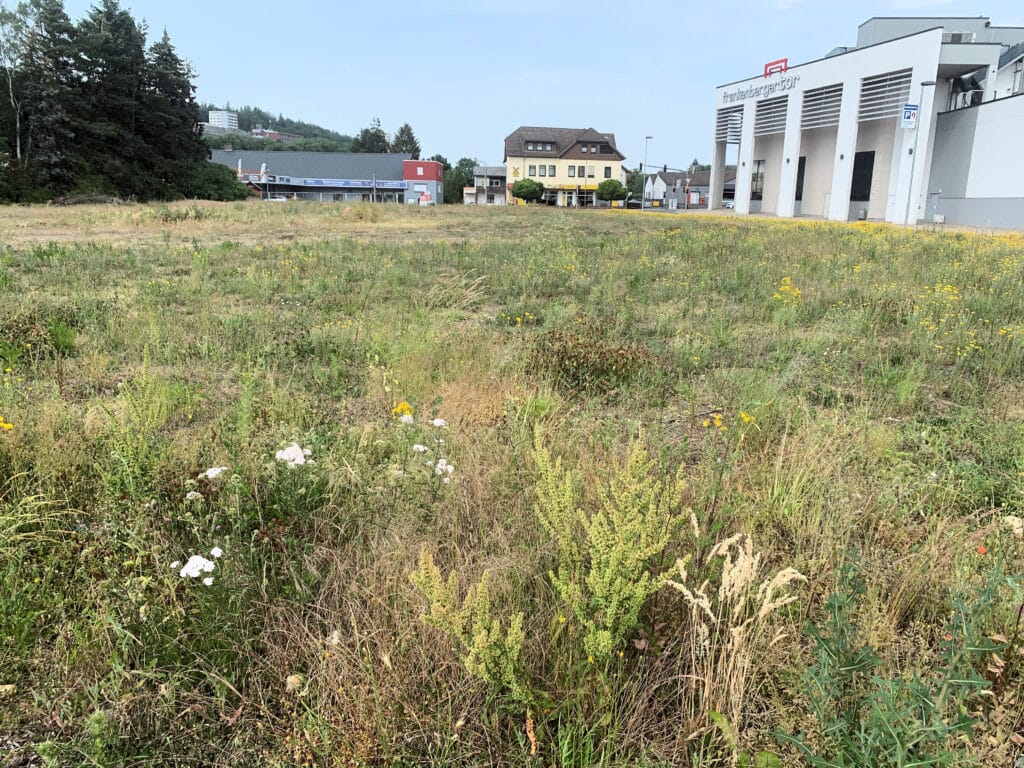 Auf dem Bild erkennt man ein weites Feld, überwuchert mit Gras und Wildblumen, erstreckt sich bis zu einer Stadtlandschaft im Hintergrund. Das "Frankenberger Tor" Gebäude mit seiner modernen Architektur dominiert die rechte Seite, während im Hintergrund weitere Gebäude und ein bewaldeter Hügel zu sehen sind.