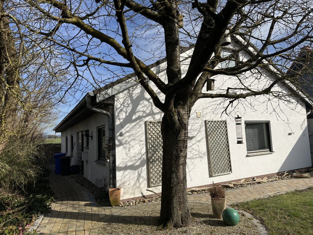 Auf dem Bild ist ein eingeschossiges Wohnhaus mit Satteldach zu sehen. Im Vordergrund steht ein großer Baum in einem Kiesrondell ohne Blätter mit mehreren Nistkästen und einem Futterhaus für Vögel. Ebenfalls befinden sich rechts und links neben dem Baum zwei Ton-Pflanztöpfe. Links im Bild ist sind kahle Sträucher zu sehen. Direkt vor diesen Sträuchern und dem Wohnhaus befindet sich ein gepflasterter Fußweg welcher zum Eingang auf der Längsseite des Hauses führt. Dort befinden sich außer der Hauseingangstür noch vier Fenster. Auf der gut sichtbaren Giebelseite im Vordergrund des Bildes ist im Erdgeschoss ein Fenster eingebaut. Links neben dem Fenster befinden sich zwei Rankgitter welche direkt an der Hauswand befestigt sind. Im Dachgeschoss ist ein weiteres Fenster eingebaut. Auch an der Giebelseite des Hauses befindet sich eine gepflasterte Fläche welche in ein Rasenbeet mündet. Der Himmel ist strahlend blau. Im Hintergrund des Hauses ist keine weitere Bebauung erkennbar, sondern nur Wiese und Bäume.